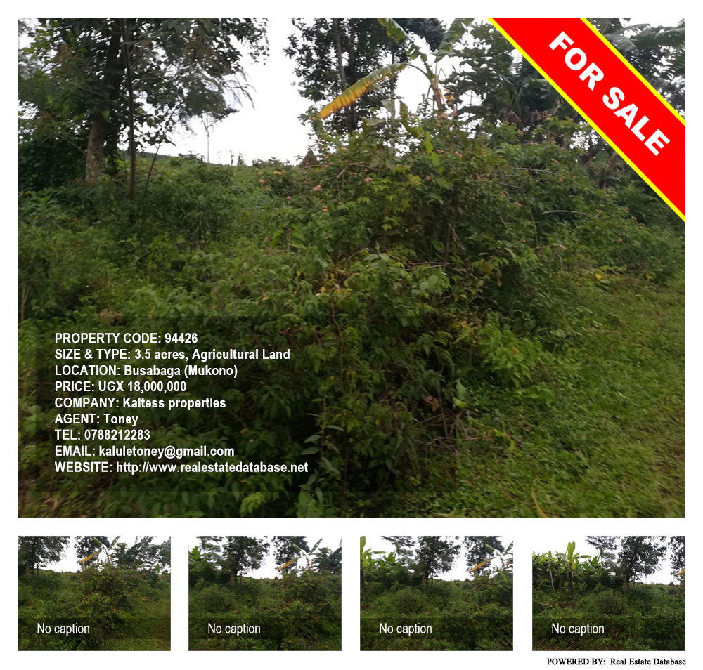 Agricultural Land  for sale in Busabaga Mukono Uganda, code: 94426