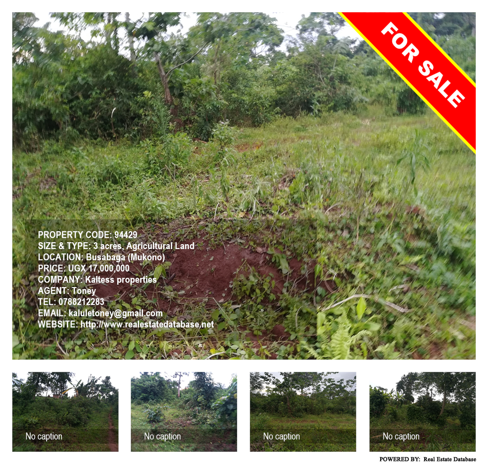 Agricultural Land  for sale in Busabaga Mukono Uganda, code: 94429