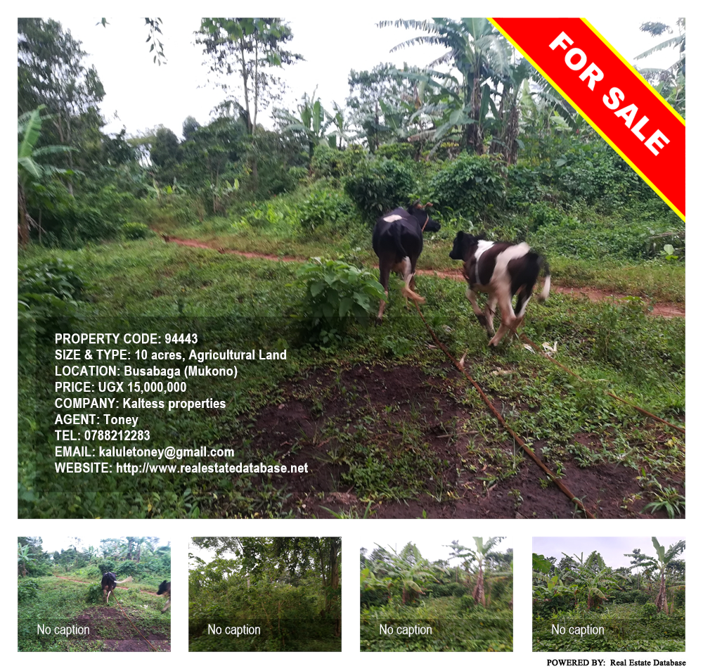 Agricultural Land  for sale in Busabaga Mukono Uganda, code: 94443