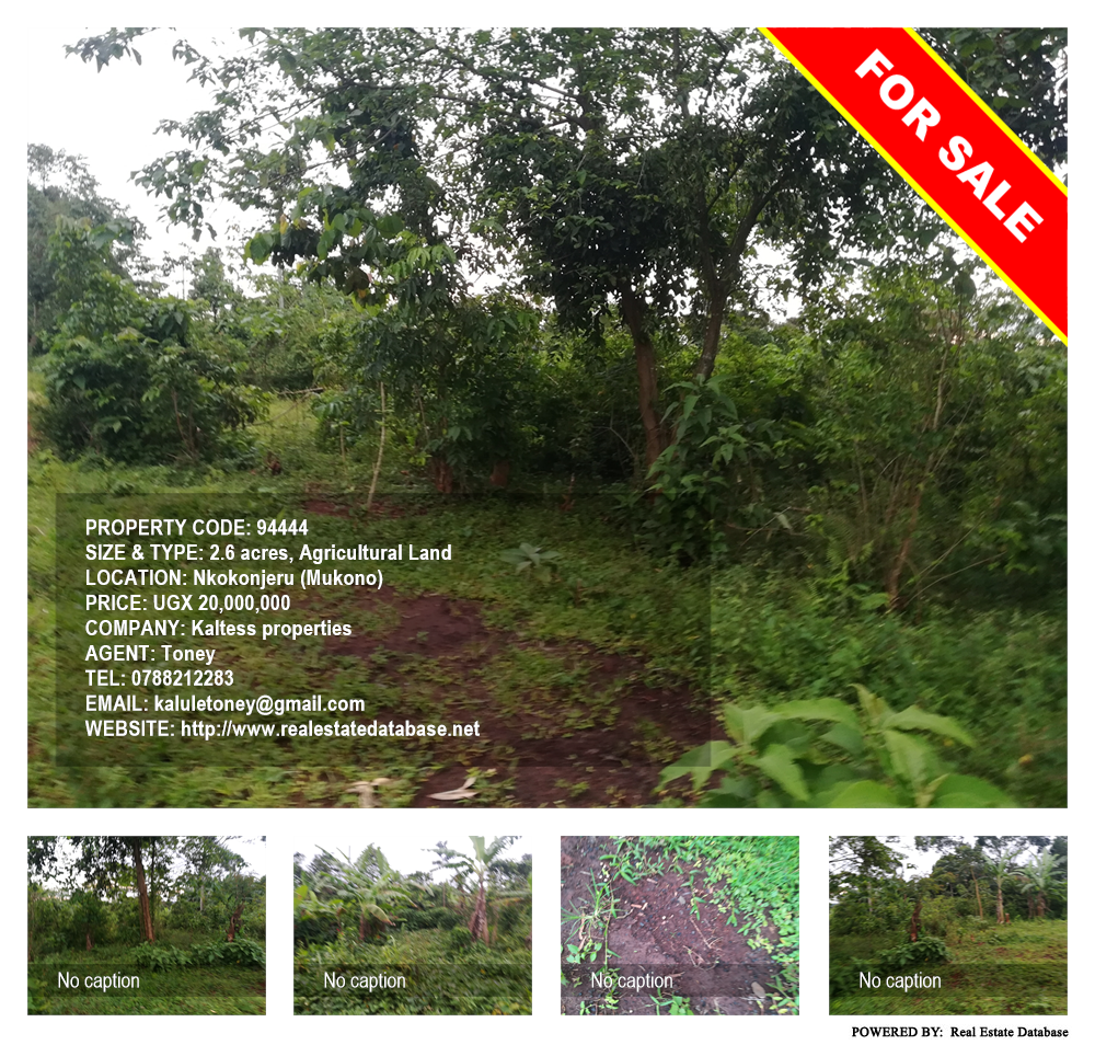 Agricultural Land  for sale in Nkokonjeru Mukono Uganda, code: 94444