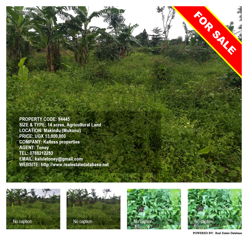 Agricultural Land  for sale in Makindu Mukono Uganda, code: 94445