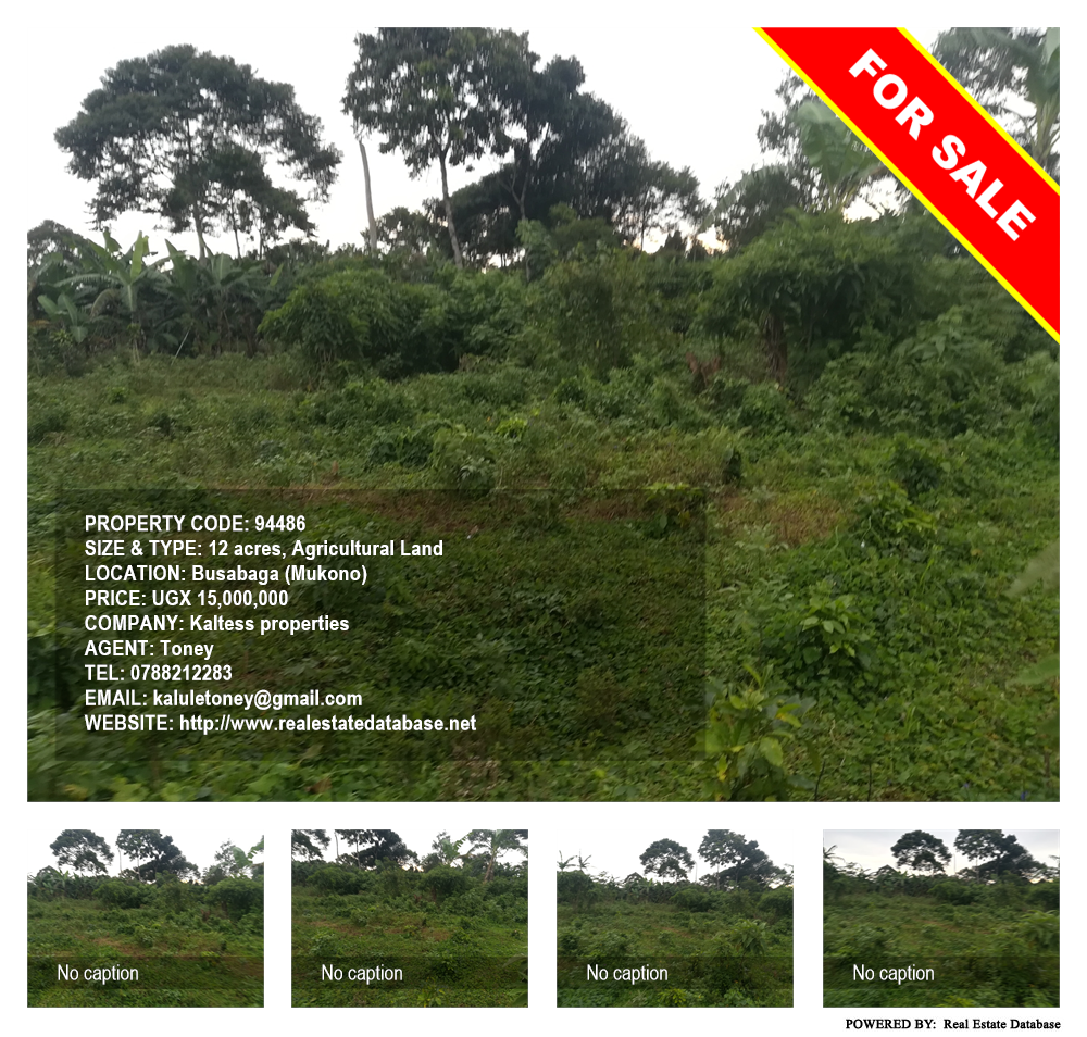 Agricultural Land  for sale in Busabaga Mukono Uganda, code: 94486