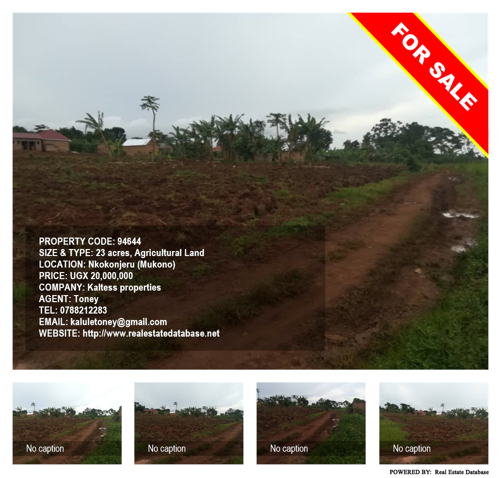 Agricultural Land  for sale in Nkokonjeru Mukono Uganda, code: 94644