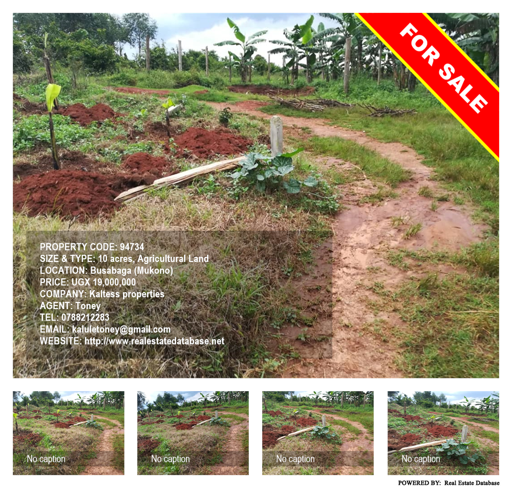 Agricultural Land  for sale in Busabaga Mukono Uganda, code: 94734