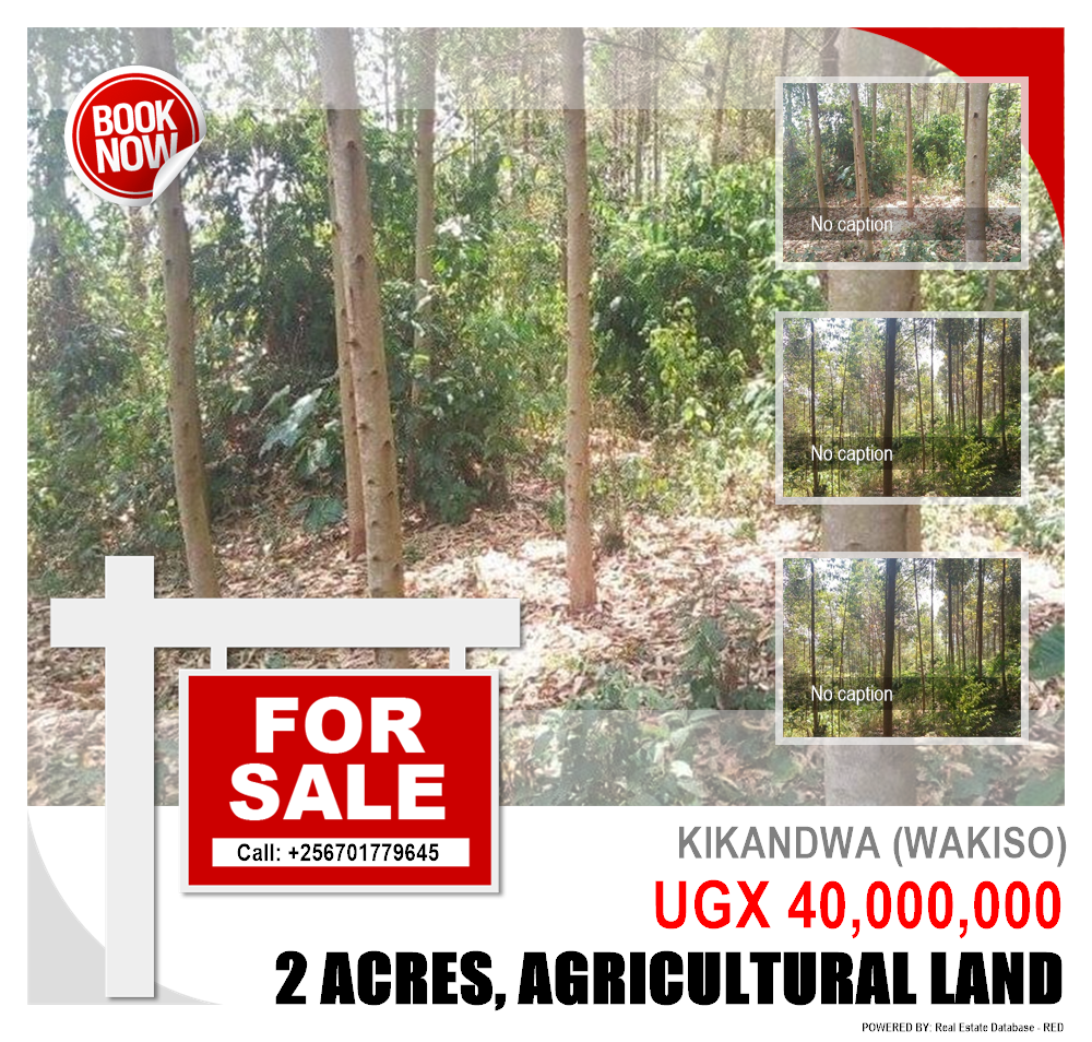 Agricultural Land  for sale in Kikandwa Wakiso Uganda, code: 95412