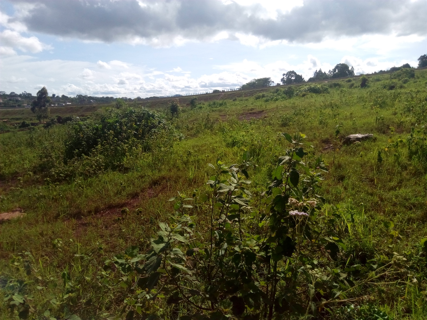 Residential Land for sale in Kitende Wakiso