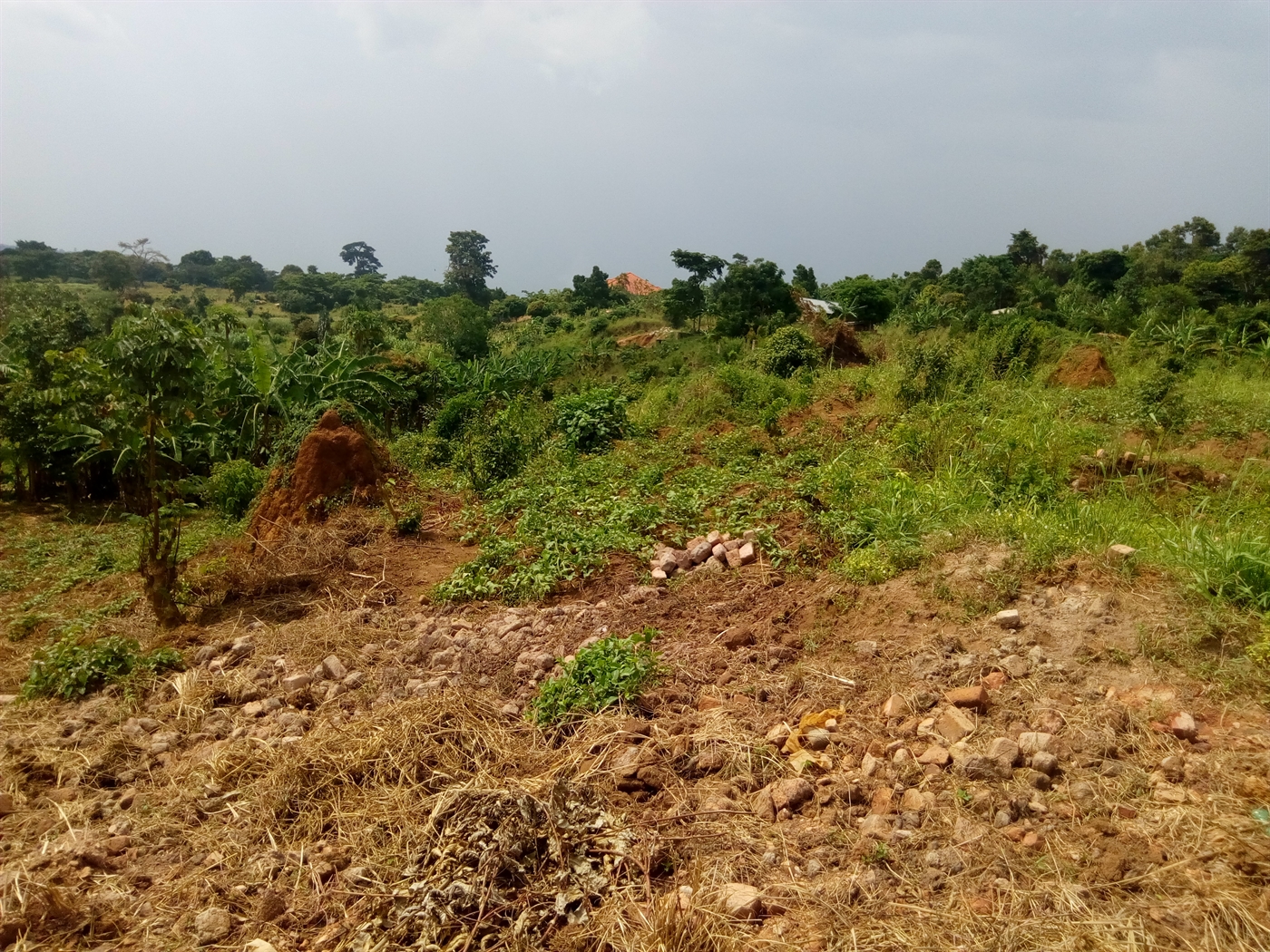 Residential Land for sale in Bugiri Wakiso