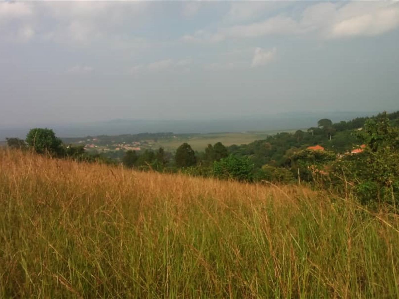 Multipurpose Land for sale in Bwebajja Wakiso