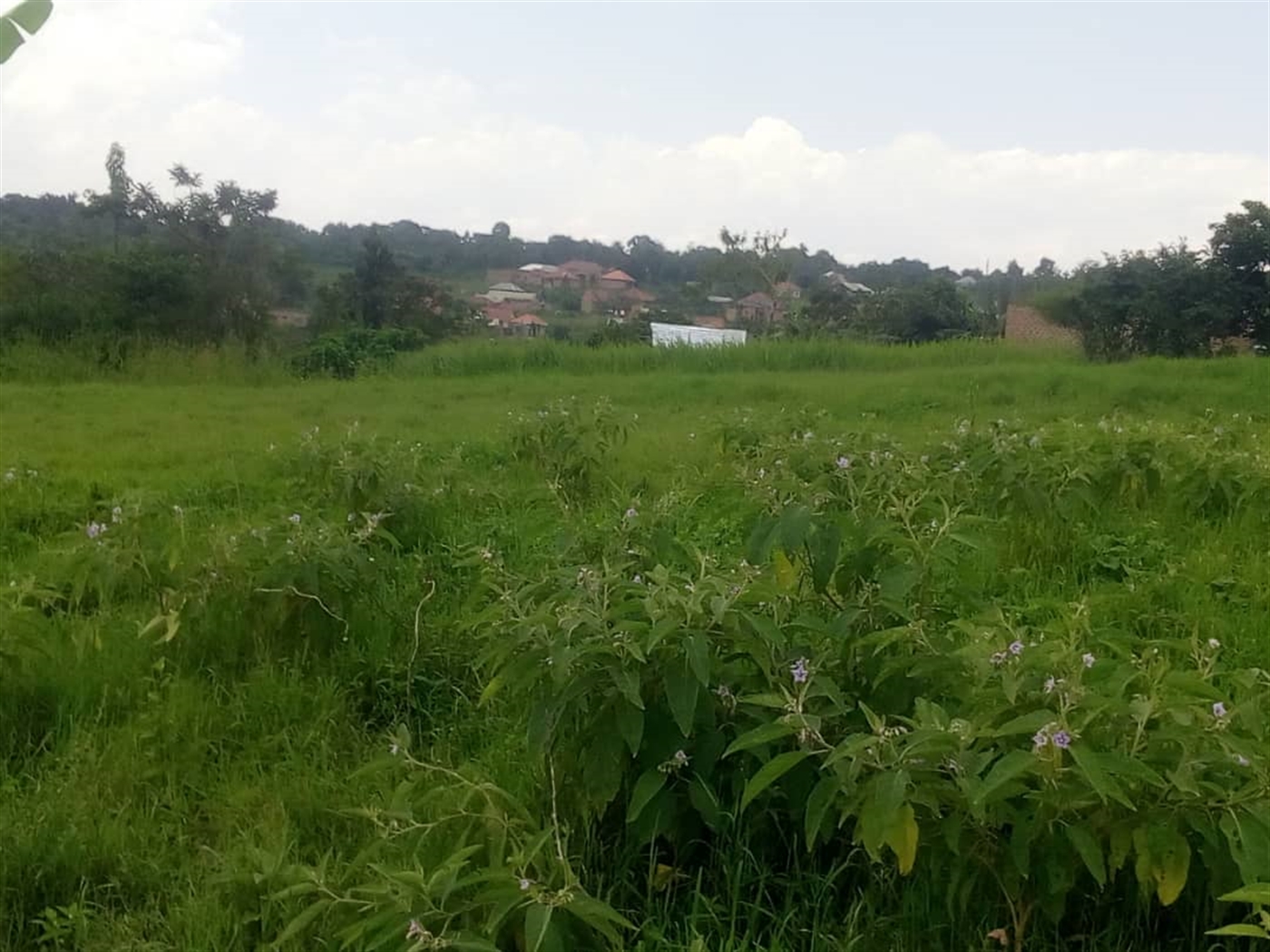 Residential Land for sale in Nakawuka Wakiso