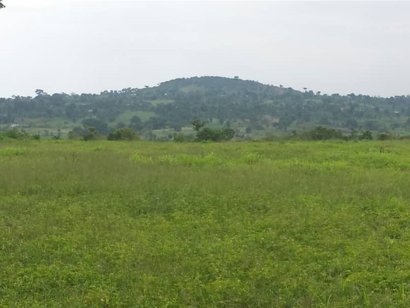 Recreational Land for sale in Kayunga Wakiso
