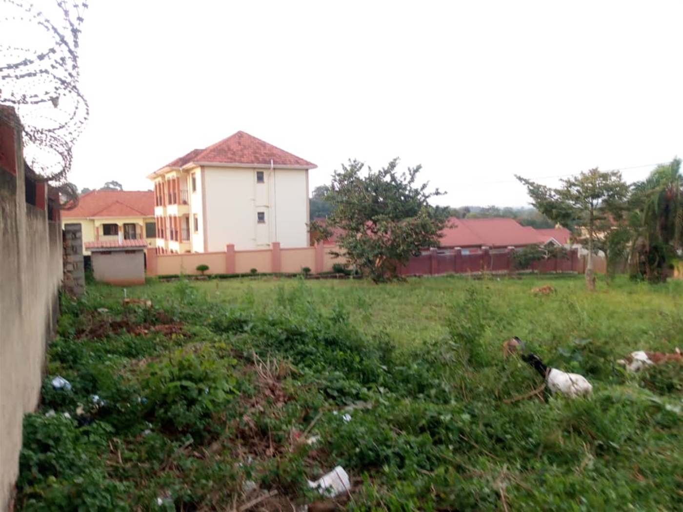 Residential Land for sale in Namugongo Wakiso