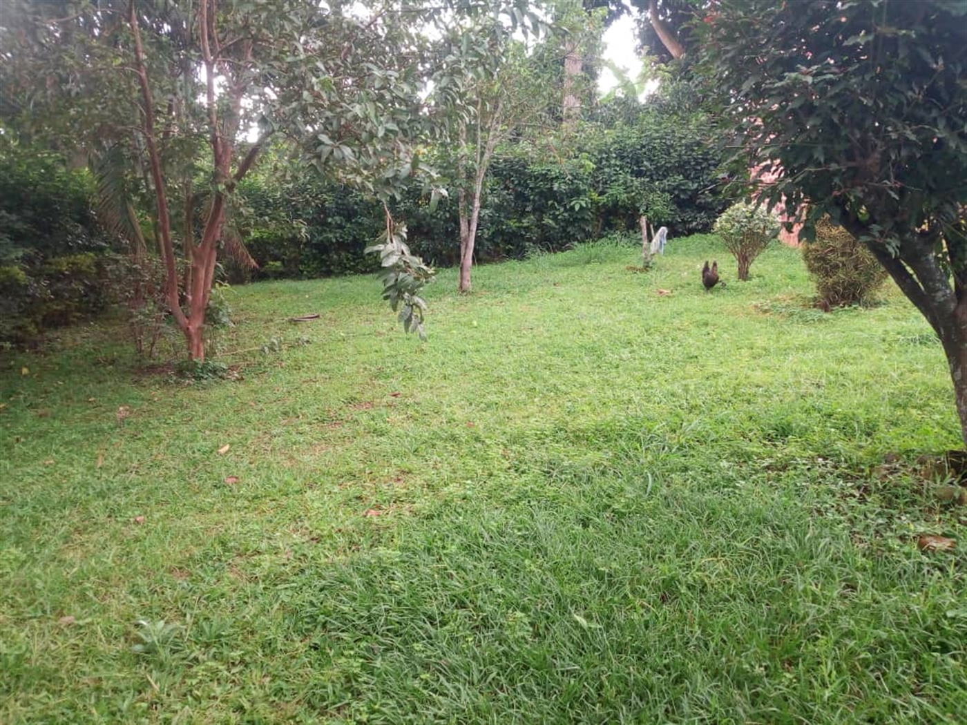 Bungalow for sale in Mpererwe Wakiso