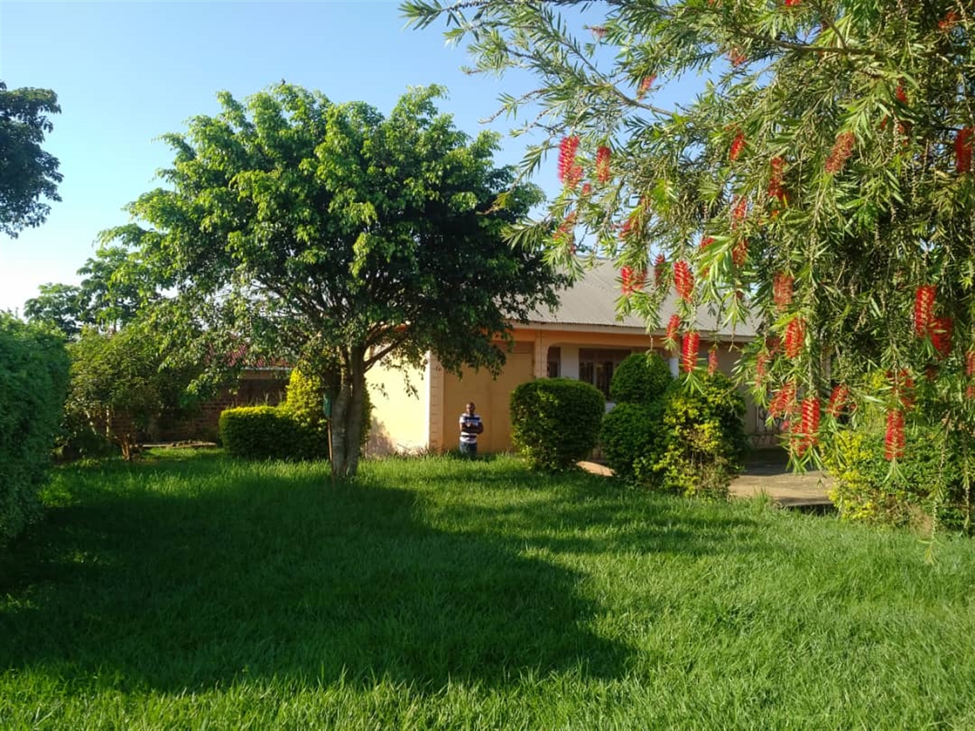 Rental units for sale in Bweyogerere Wakiso