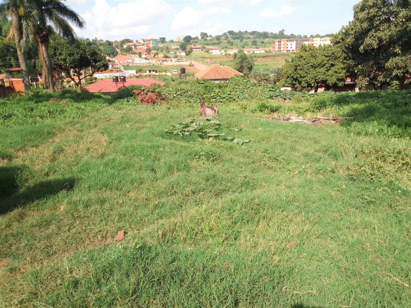 Residential Land for sale in Ntinda Wakiso