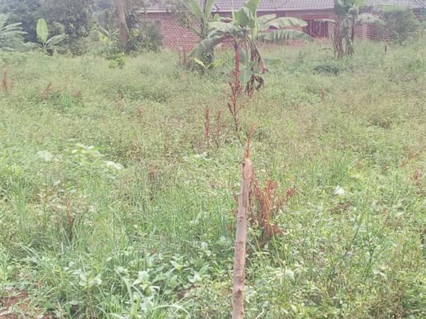 Shell House for sale in Banda Wakiso