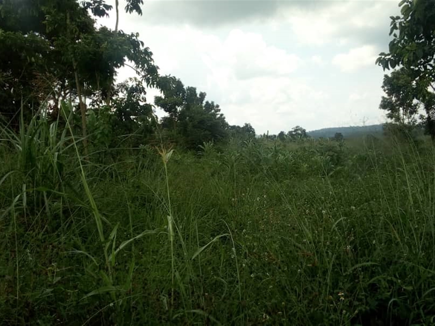 Multipurpose Land for sale in Kanyanda Luweero