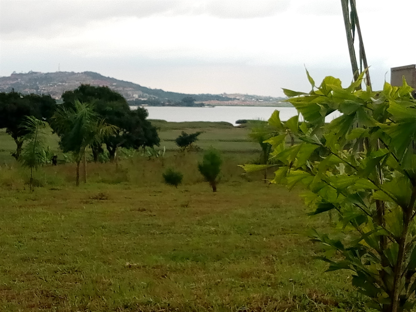 Residential Land for sale in Bweya Wakiso