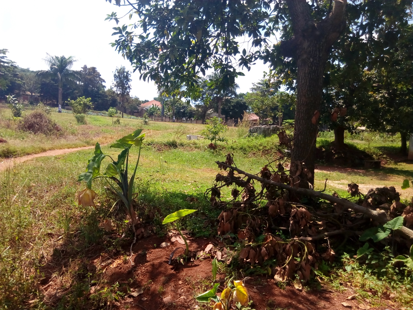 Commercial Land for sale in Bwebajja Wakiso