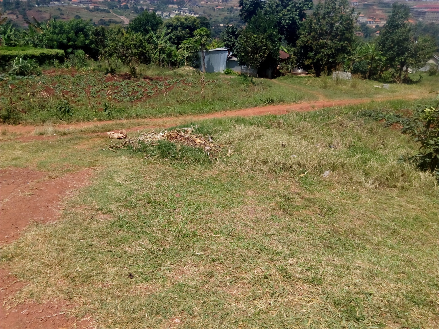 Commercial Land for sale in Bwebajja Wakiso