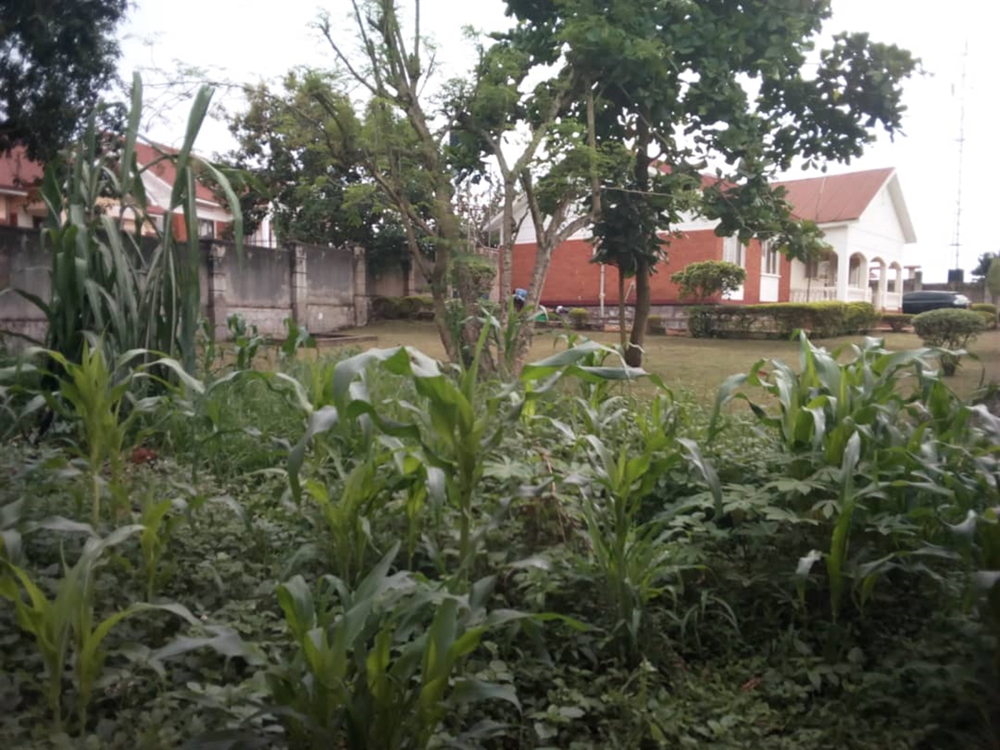 Bungalow for sale in Kitende Wakiso