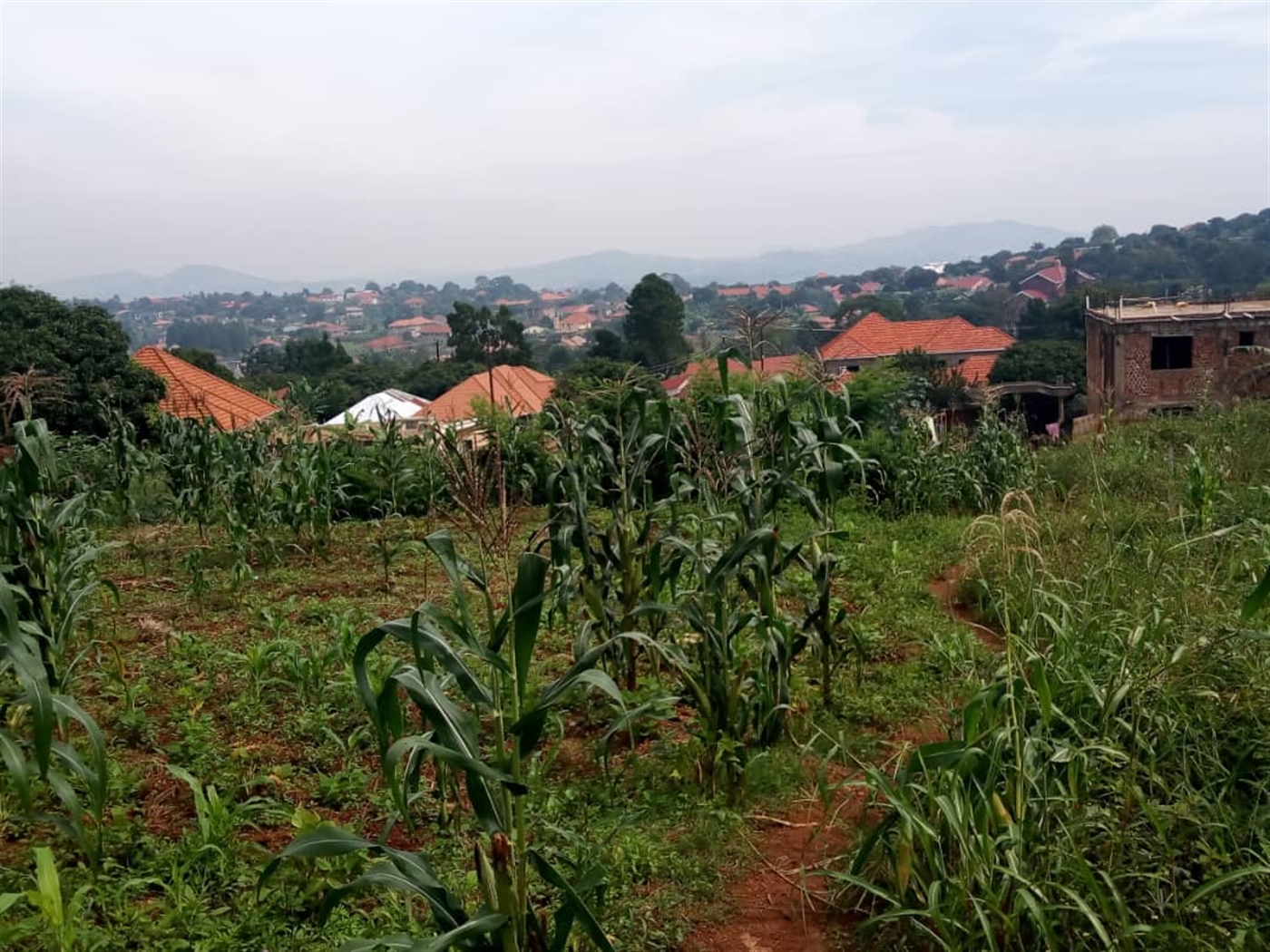 Residential Land for sale in Bwebajja Wakiso