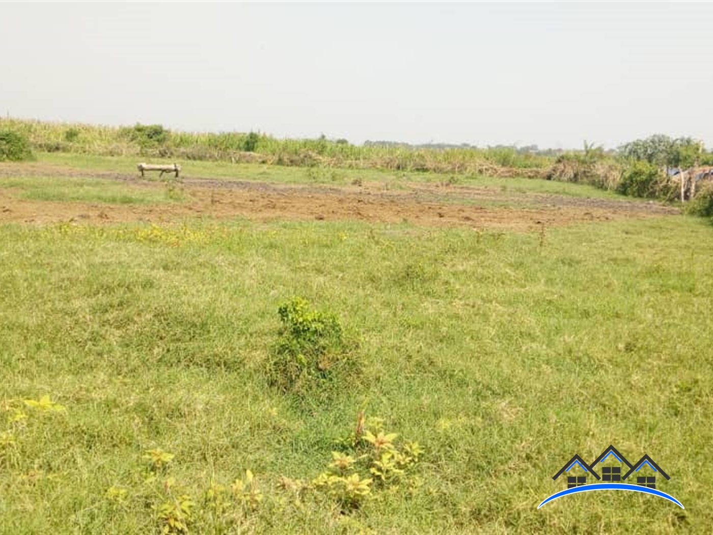 Agricultural Land for sale in Myanzi Mityana