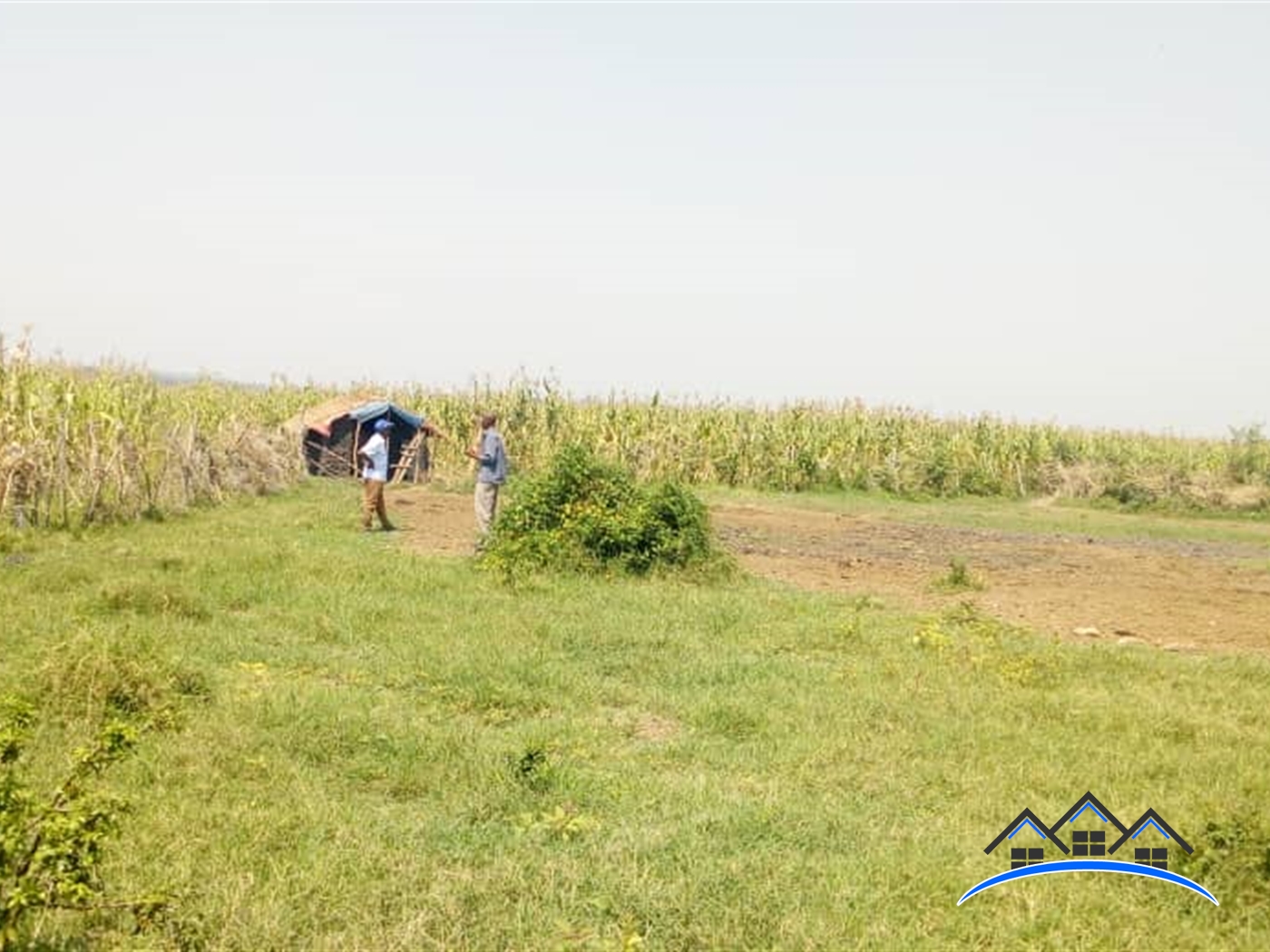 Agricultural Land for sale in Myanzi Mityana