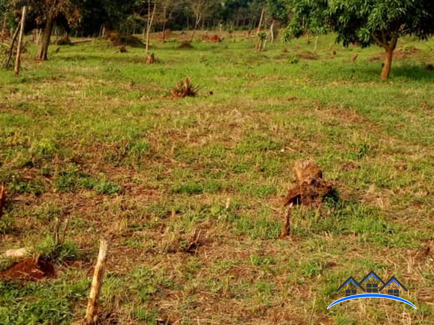 Agricultural Land for sale in Kyaggwe Mukono