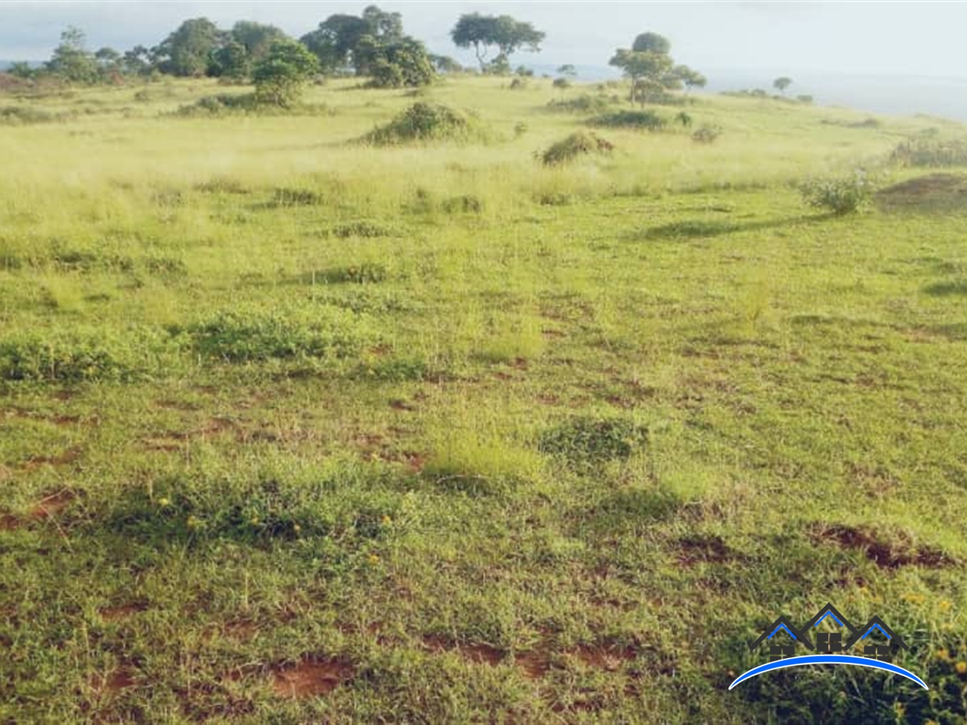 Agricultural Land for sale in Kyaggwe Mukono