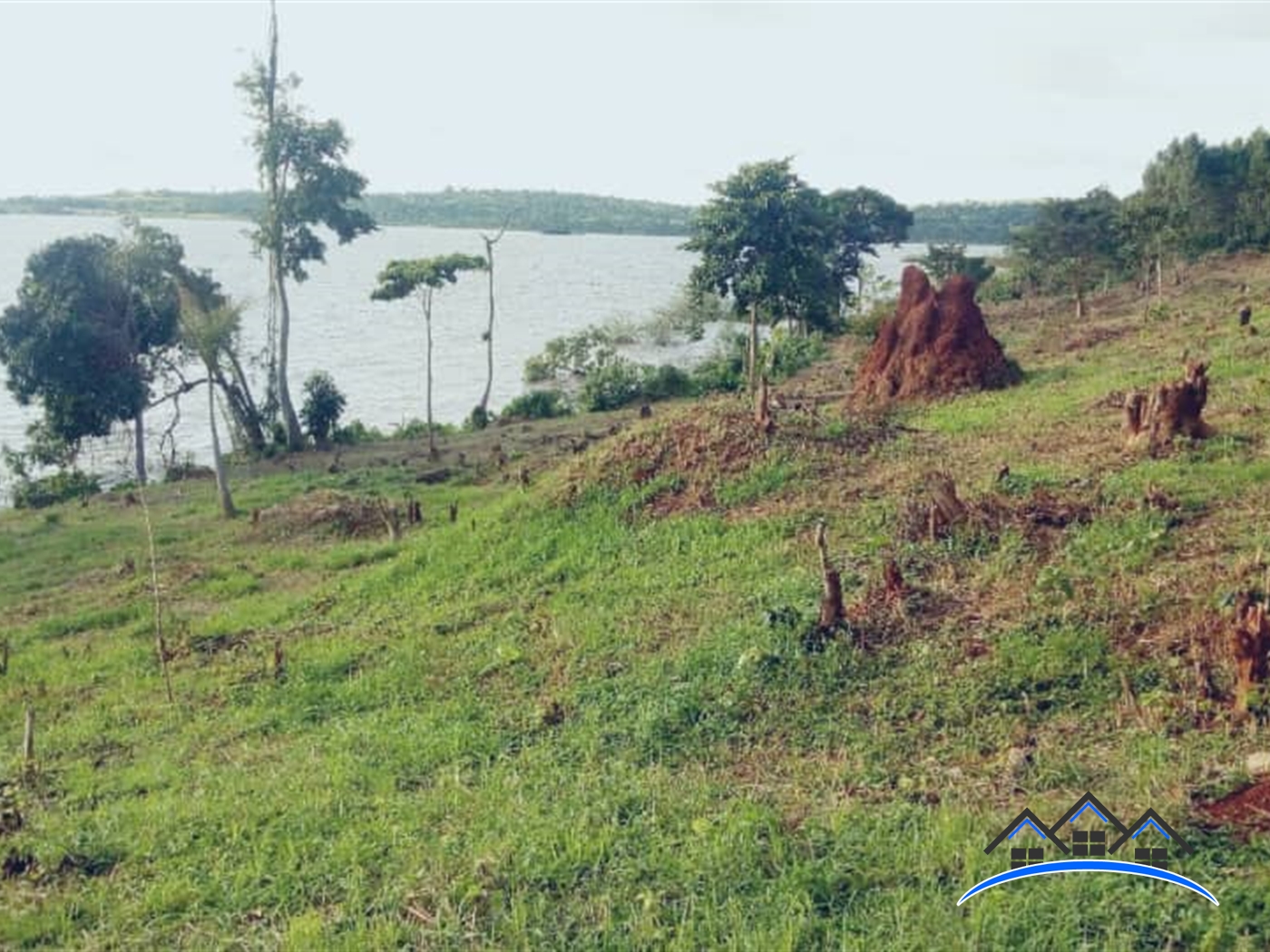 Agricultural Land for sale in Kyaggwe Mukono