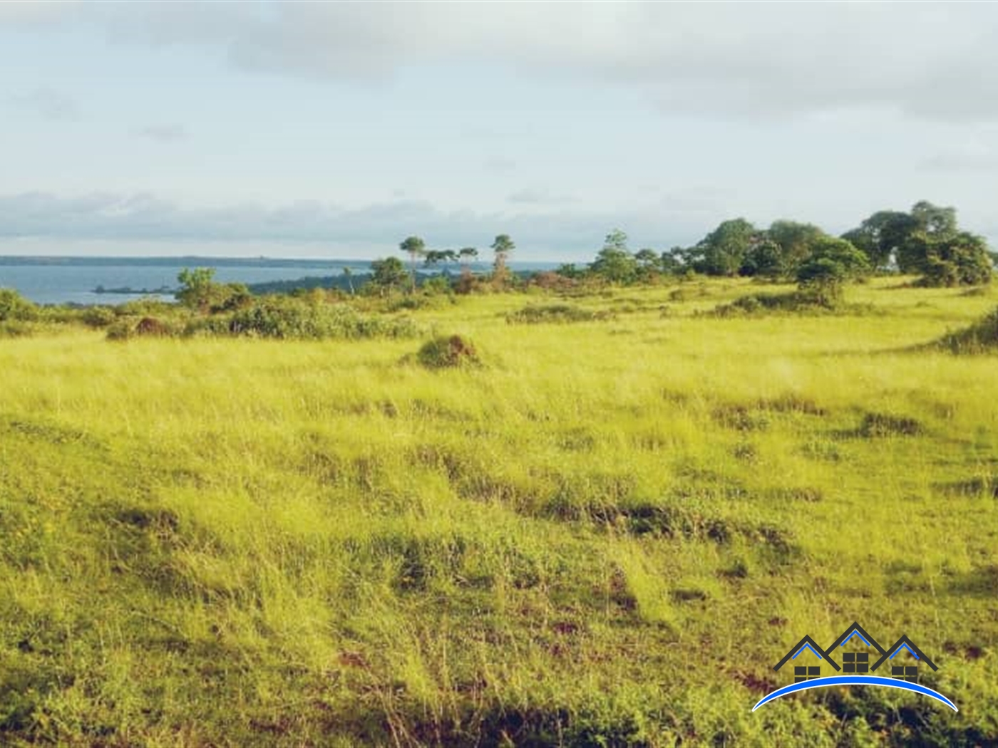 Agricultural Land for sale in Kyaggwe Mukono