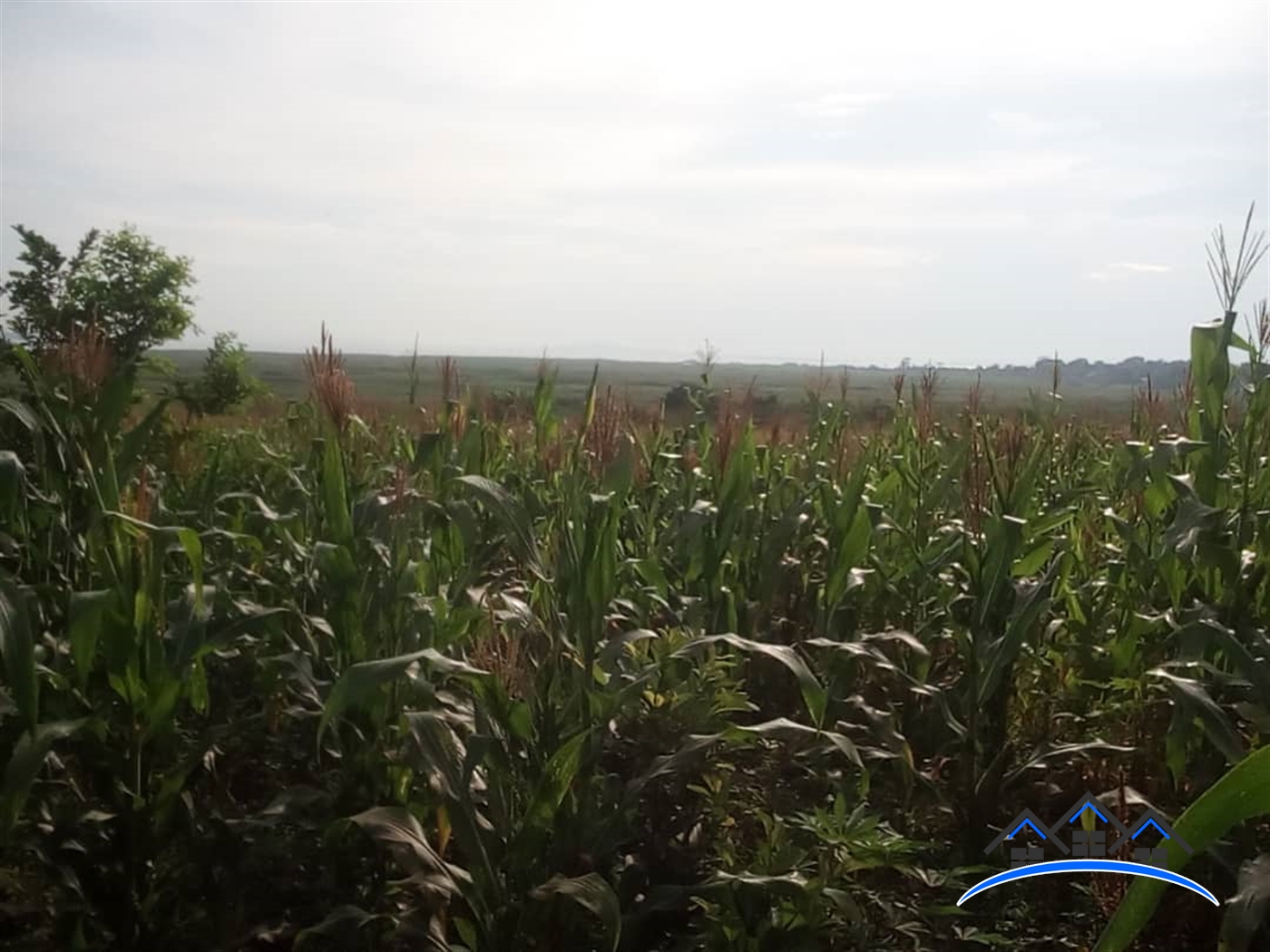 Residential Land for sale in Bweya Wakiso