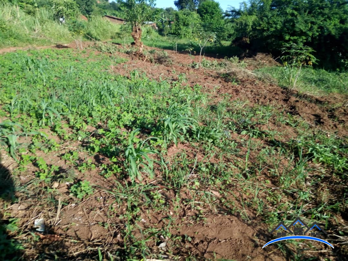 Residential Land for sale in Kitende Wakiso