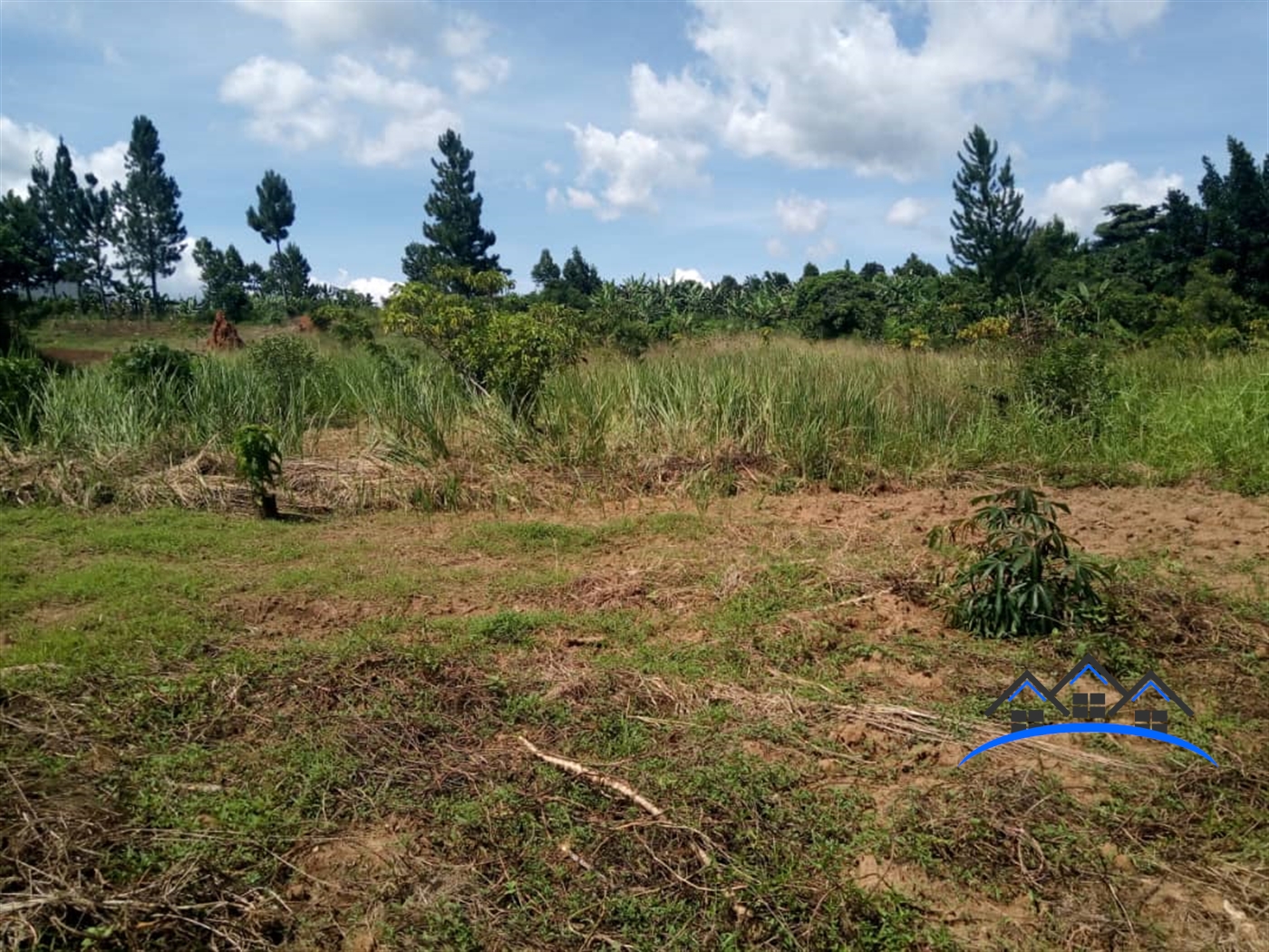 Residential Land for sale in Kasanjje Wakiso