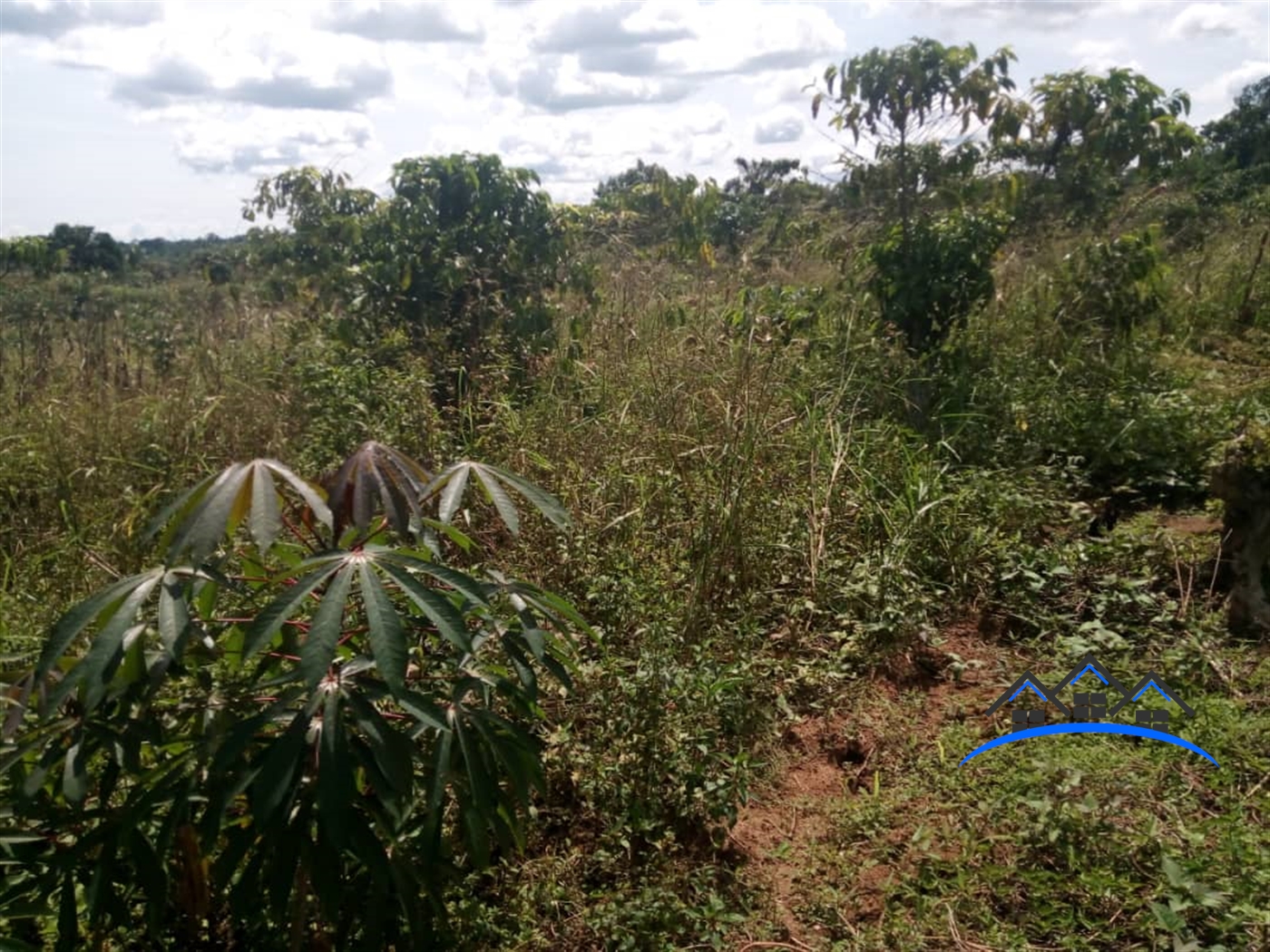 Residential Land for sale in Kasanjje Wakiso