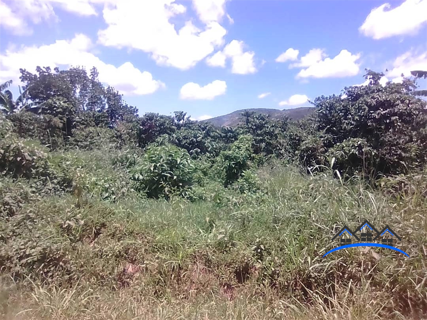 Agricultural Land for sale in Mate Wakiso