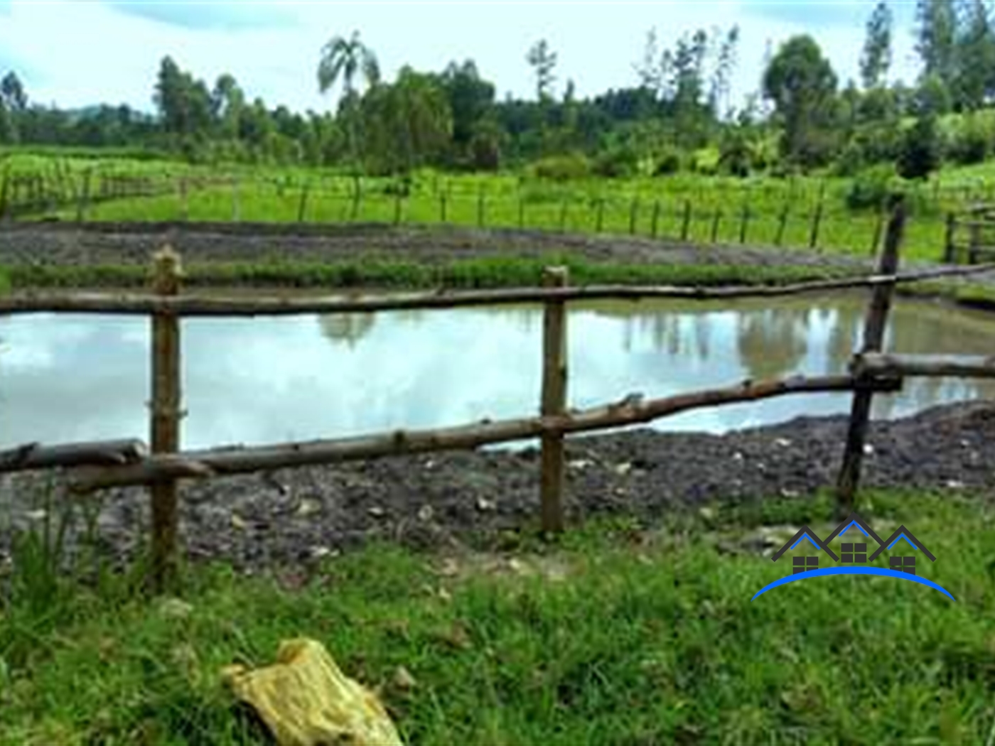 Agricultural Land for sale in Butunduzi Kyenjojo