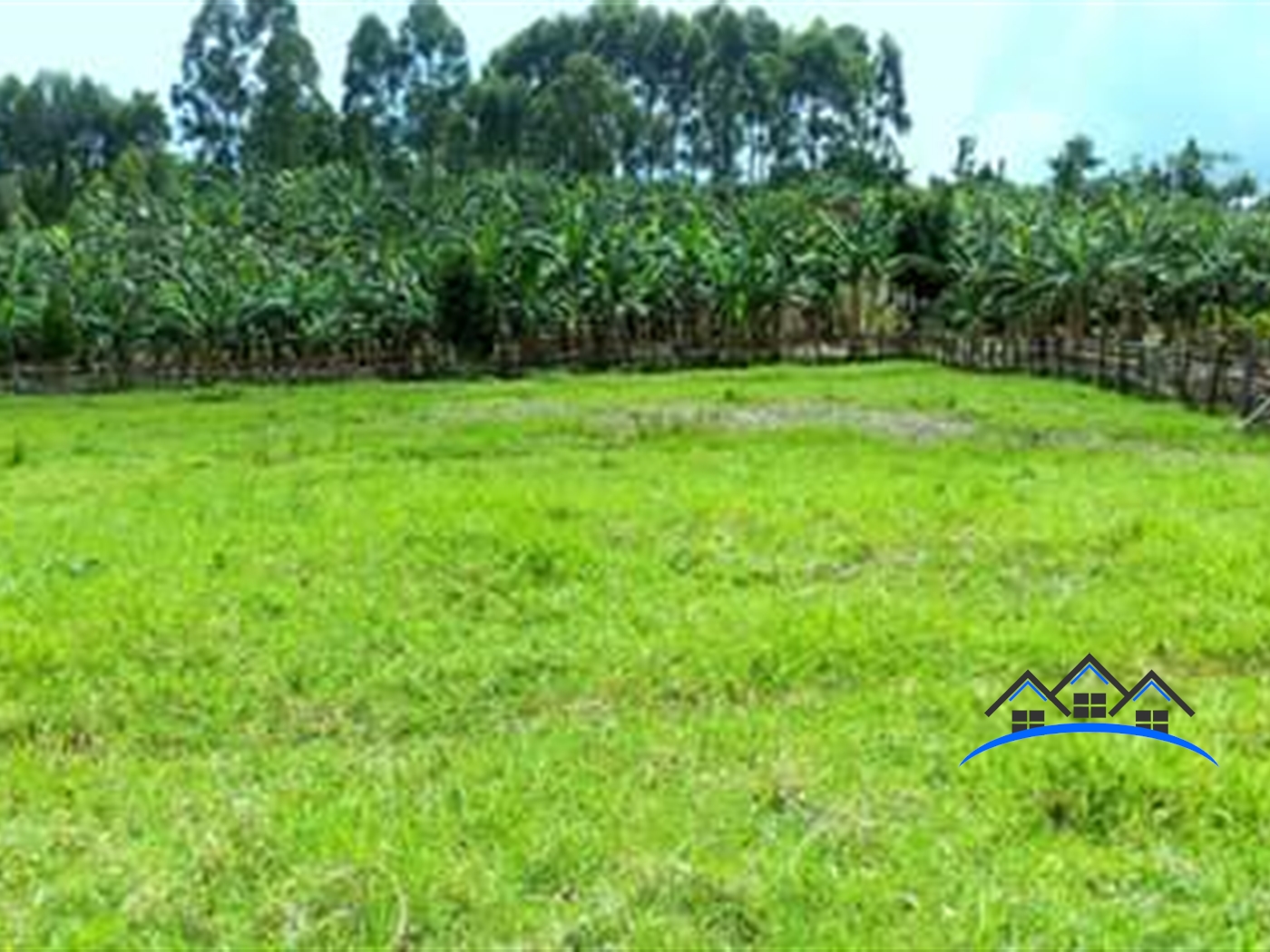 Agricultural Land for sale in Butunduzi Kyenjojo