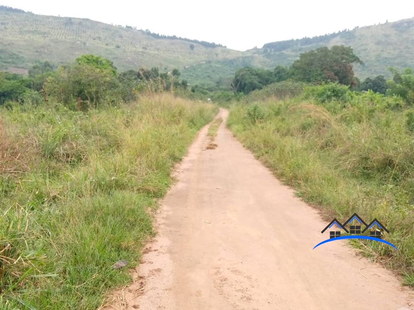 Agricultural Land for sale in Mulunya Kiboga