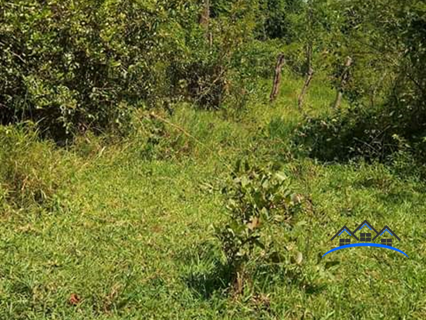 Agricultural Land for sale in Mukiyungu Mubende