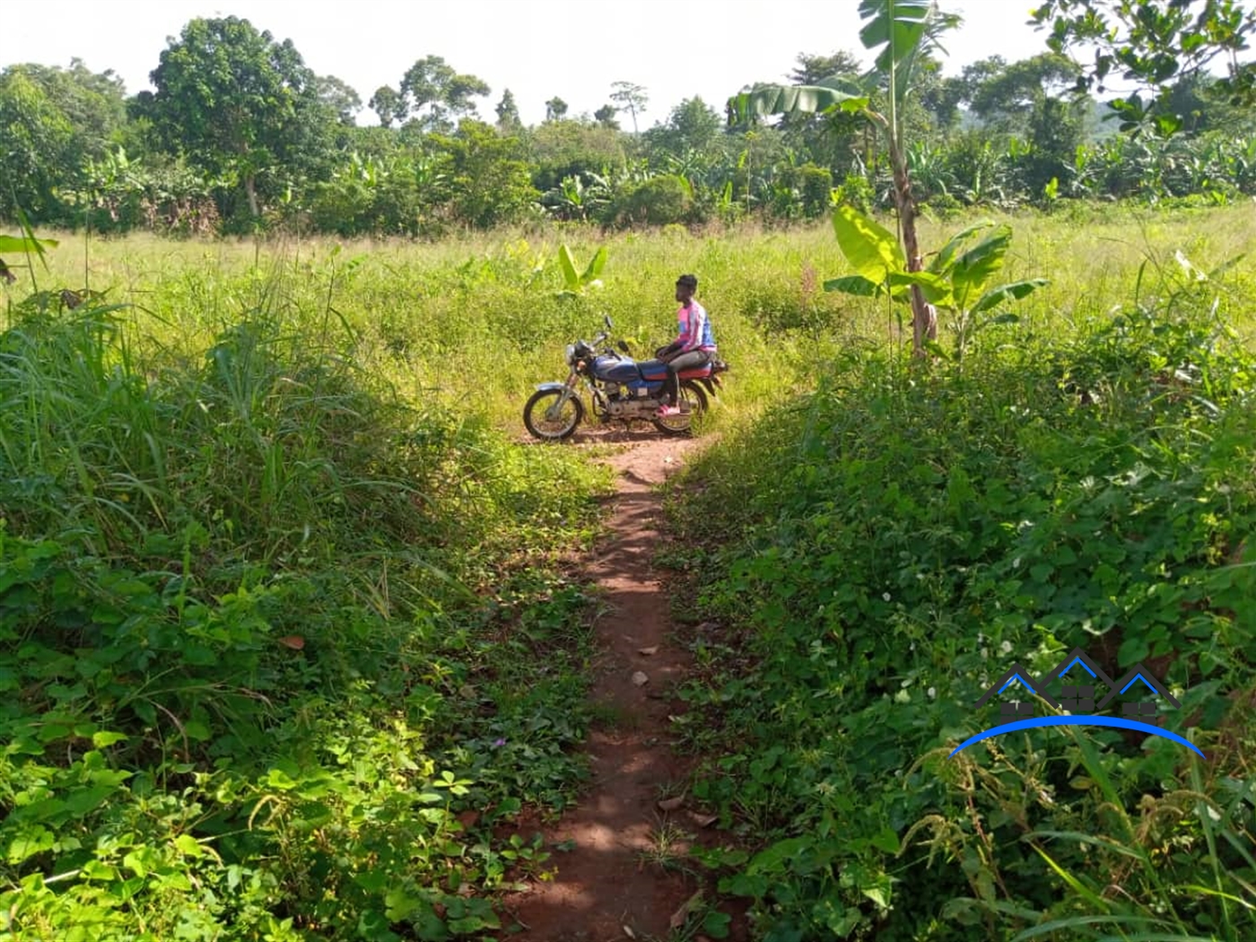 Agricultural Land for sale in Ngalonkalu Luweero