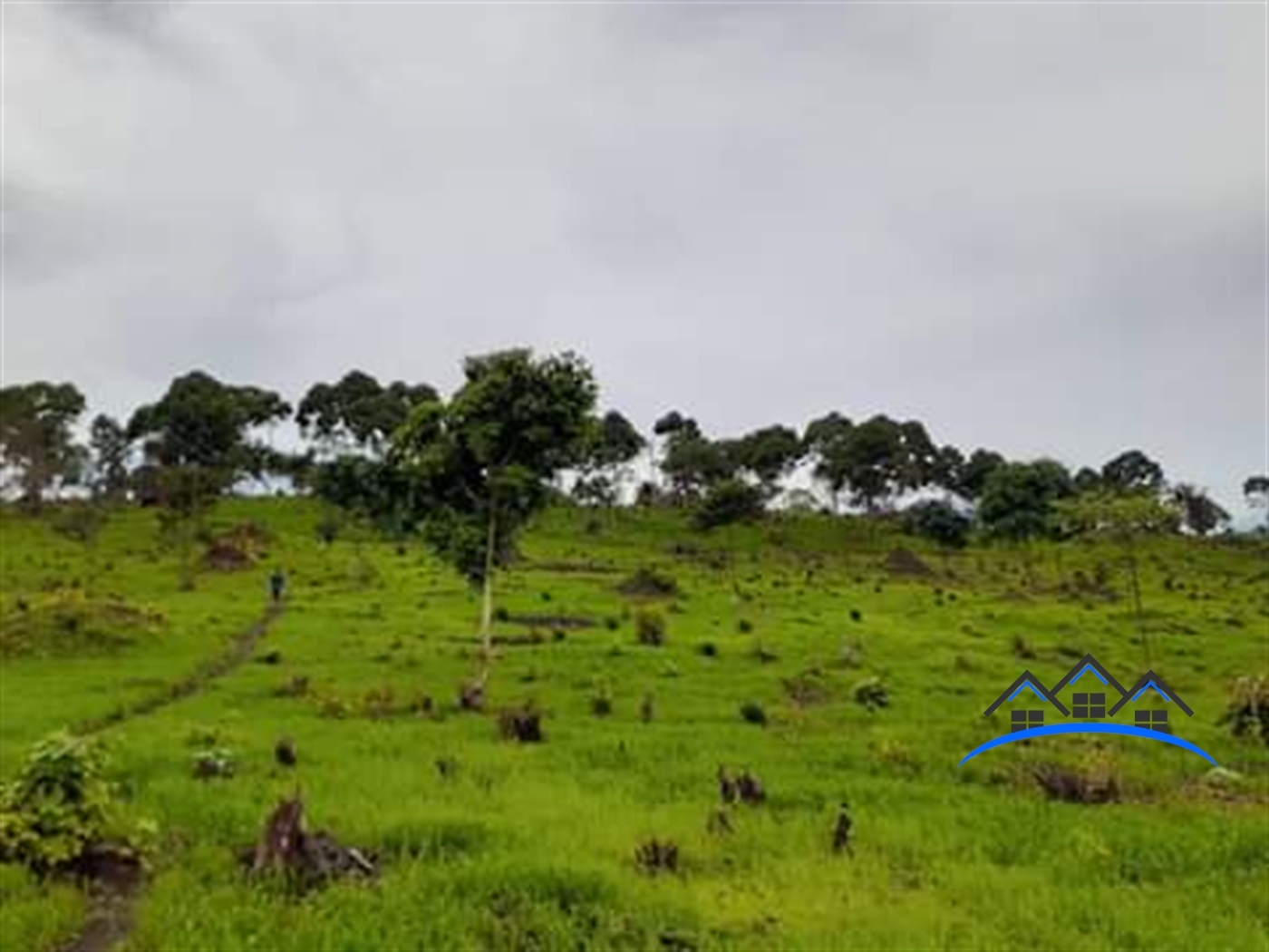 Agricultural Land for sale in Kisigula Mukono