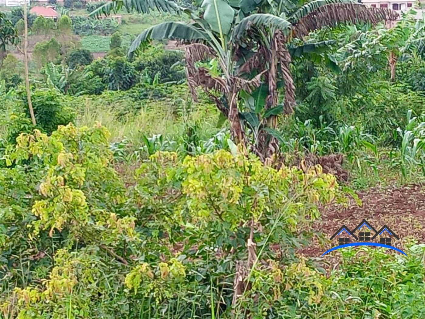 Agricultural Land for sale in Bulami Luweero