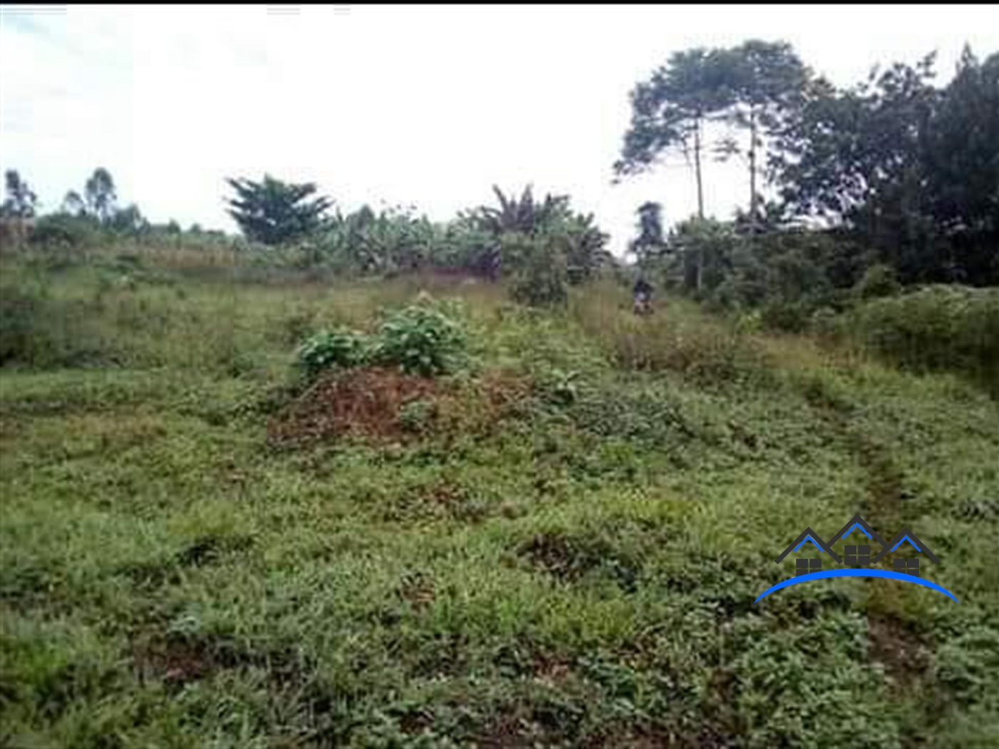 Agricultural Land for sale in Mukiyungu Mubende