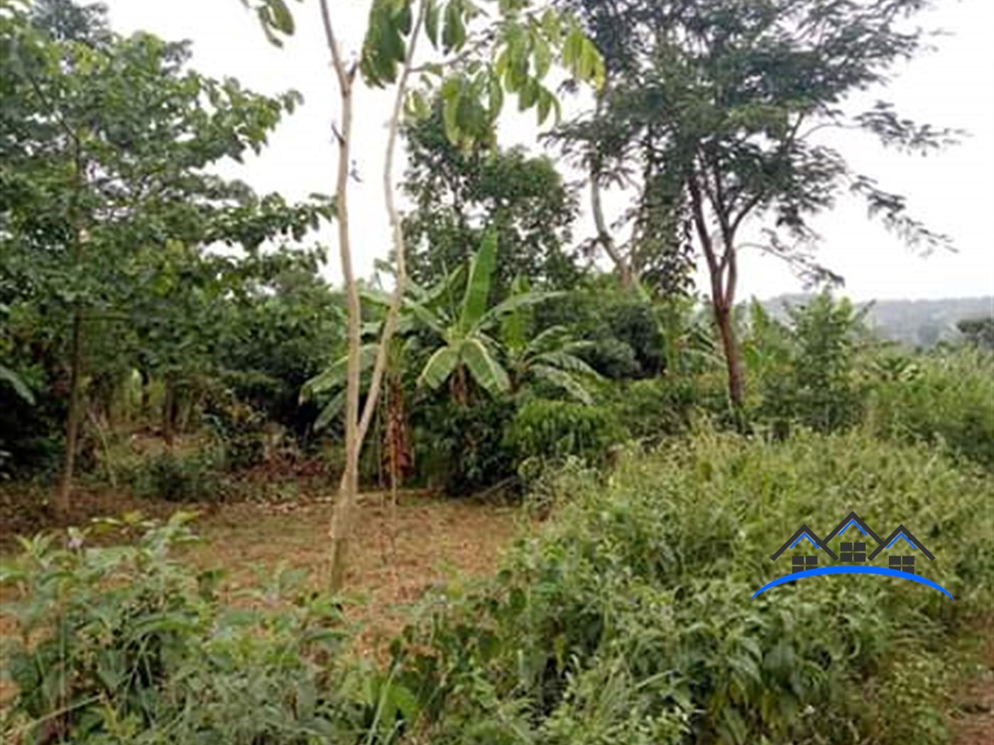 Commercial Land for sale in Bukulula Masaka