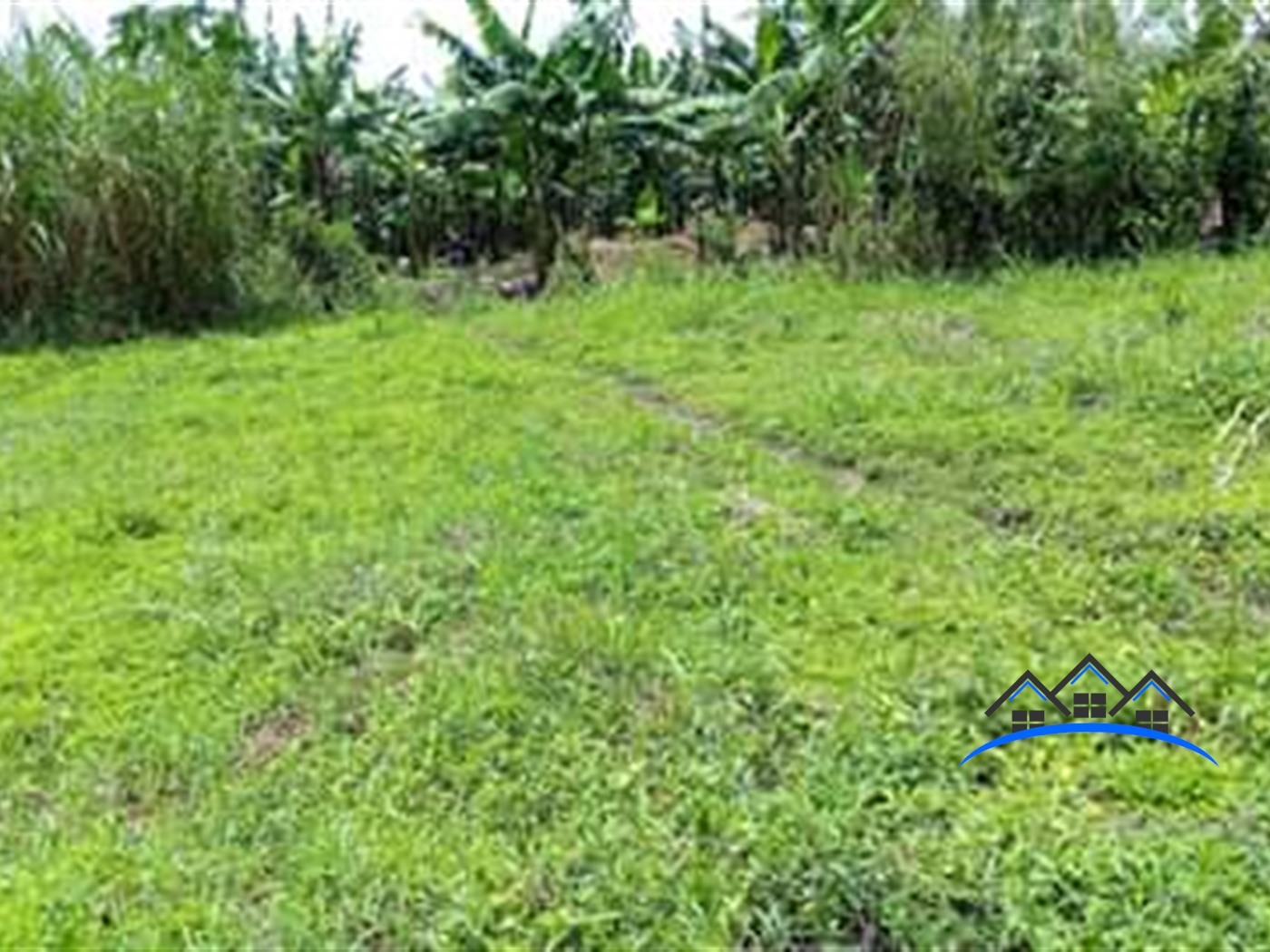 Agricultural Land for sale in Rwibale Kyenjojo