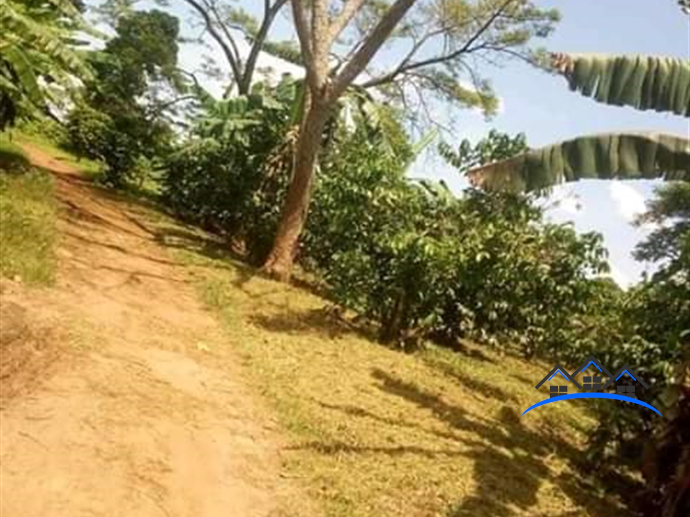 Agricultural Land for sale in Wakataama Nakaseke