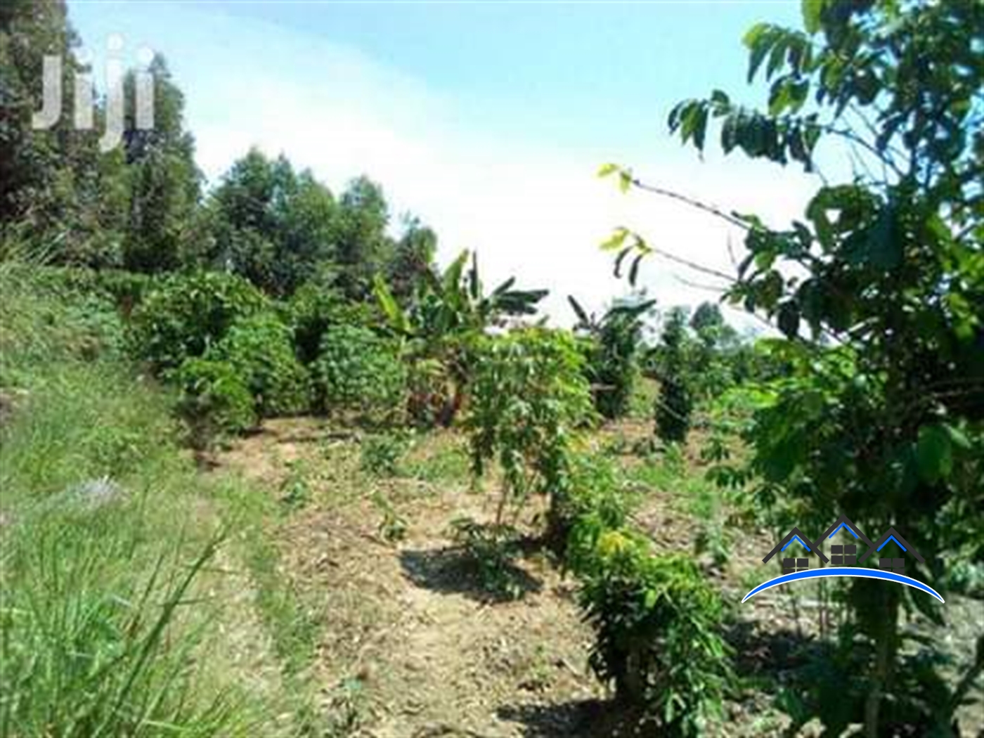 Agricultural Land for sale in Kayabwe Mpigi