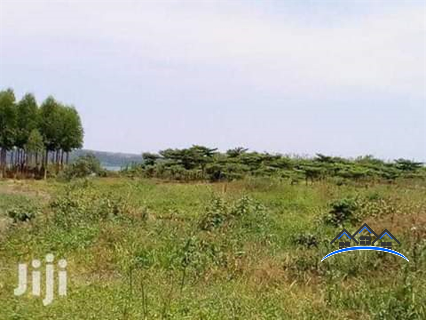 Agricultural Land for sale in Kayabwe Mpigi