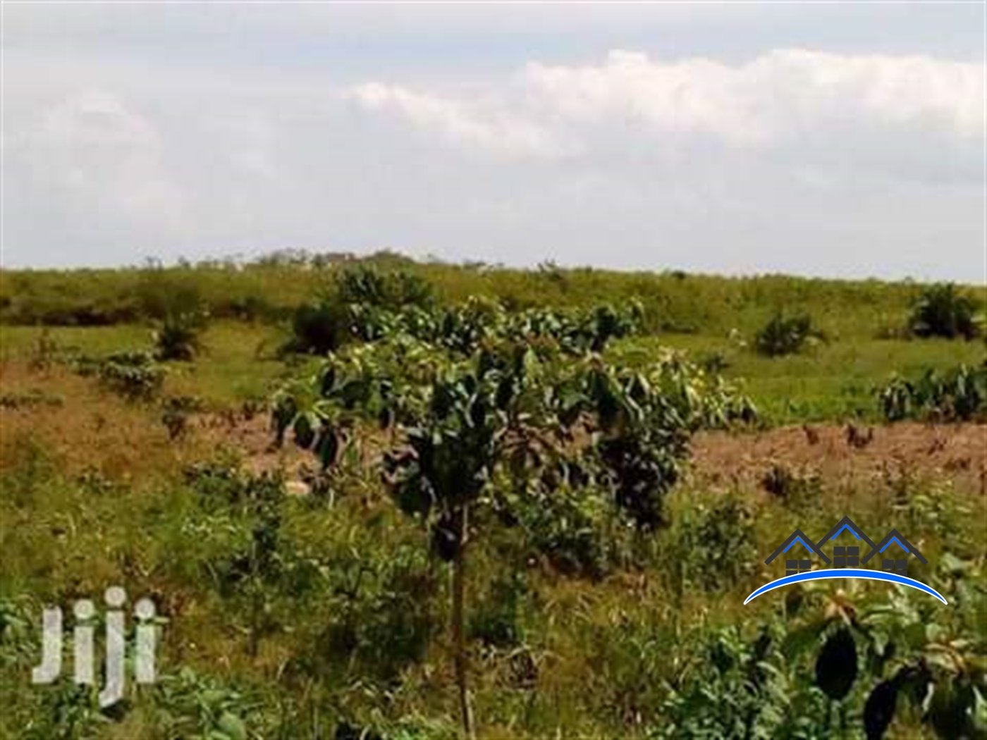 Agricultural Land for sale in Kayabwe Mpigi